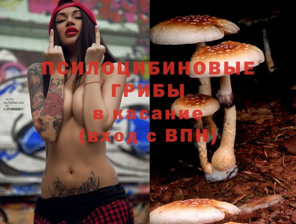 таблы Осинники