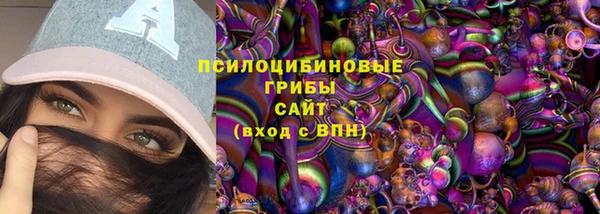таблы Осинники
