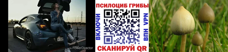 Галлюциногенные грибы MAGIC MUSHROOMS  как найти   Дзержинск 