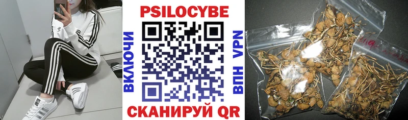 Псилоцибиновые грибы Magic Shrooms Дзержинск