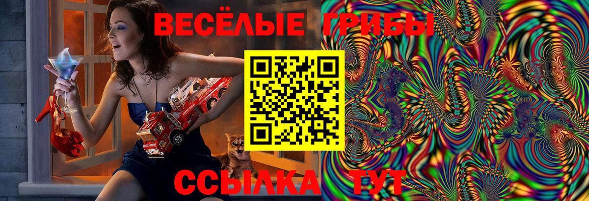 Дзержинск  Псилоцибиновые грибы Magic Shrooms  Вход с VPN 