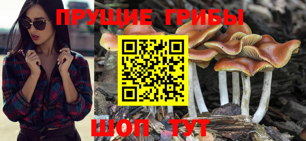 Псилоцибиновые грибы прущие грибы  Дзержинск 