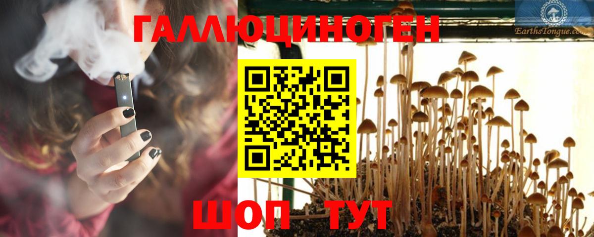 Псилоцибиновые грибы ЛСД Дзержинск